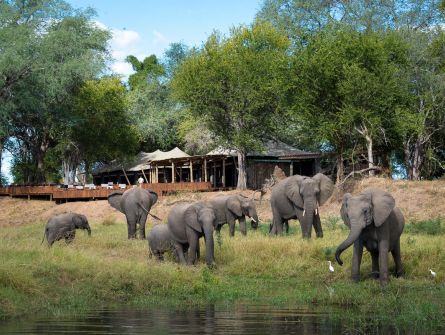Ruckomechi Camp Mana Pools National Park Zimbabwe