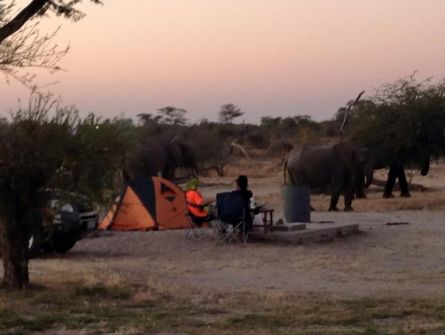 Elephant Sands Bush Lodge Campsite