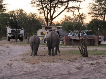 Elephant Sands Bush Lodge Campsite View