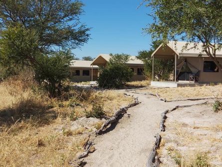 Elephant Sands Bush Lodge Safari Tent Pathway