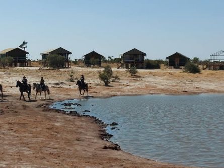 Elephant Sands Bush Lodge Safari Tent View