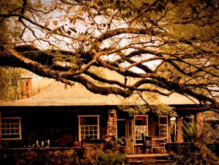 Reilly's Rock Hilltop Lodge Mlilwane Wildlife Sanctuary Swaziland