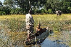 Okavango Delta