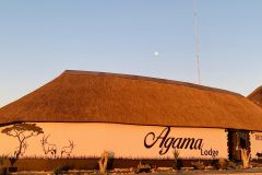 Agama Lodge