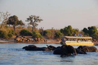 Chobe River Boat Cruises Botswana