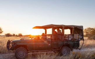 Ntwetwe Pan Meerkat Expedition Gweta Makgadikgadi Pans Botswana